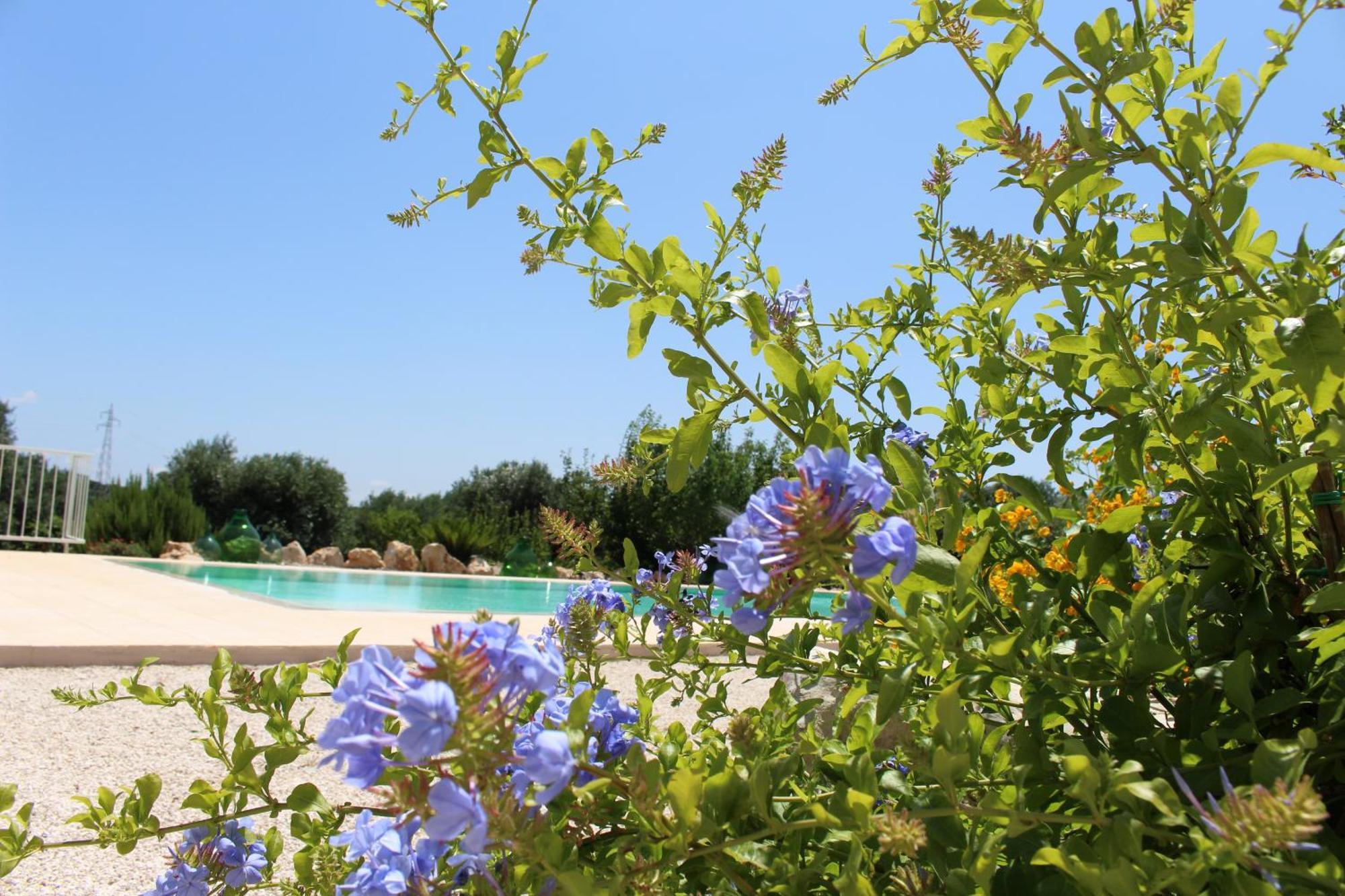 Gasthaus Trullo Il Melograno Ostuni Exterior foto