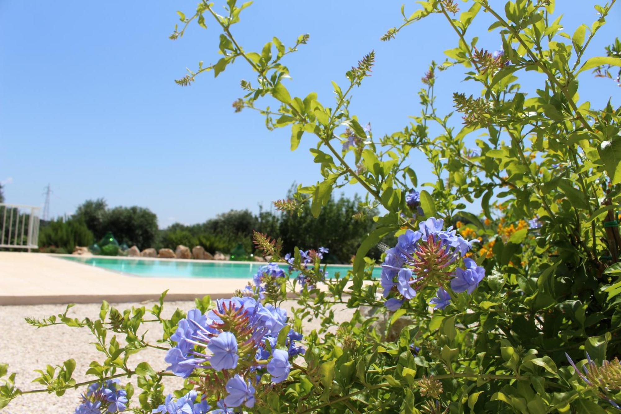 Gasthaus Trullo Il Melograno Ostuni Exterior foto