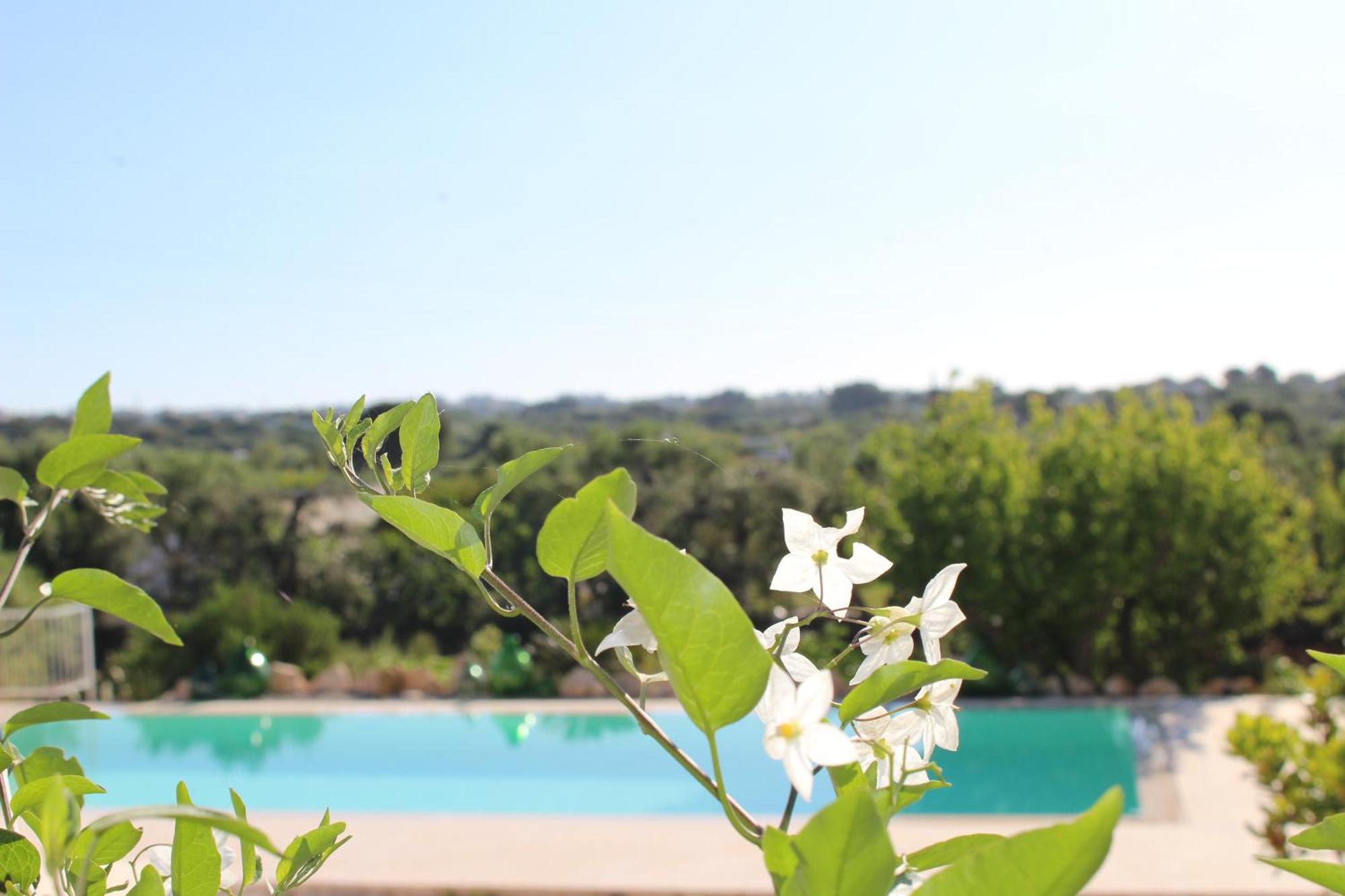 Gasthaus Trullo Il Melograno Ostuni Exterior foto