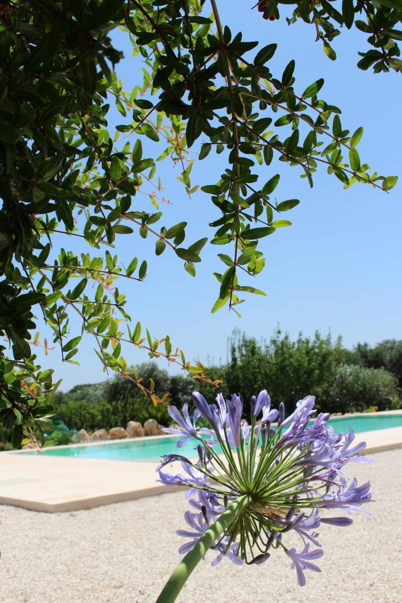 Gasthaus Trullo Il Melograno Ostuni Exterior foto
